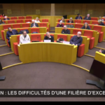 French Senate Commission of Culture hearing on the animation industry crisis featuring representatives from Fortiche Production, Xilam, and animation studios.