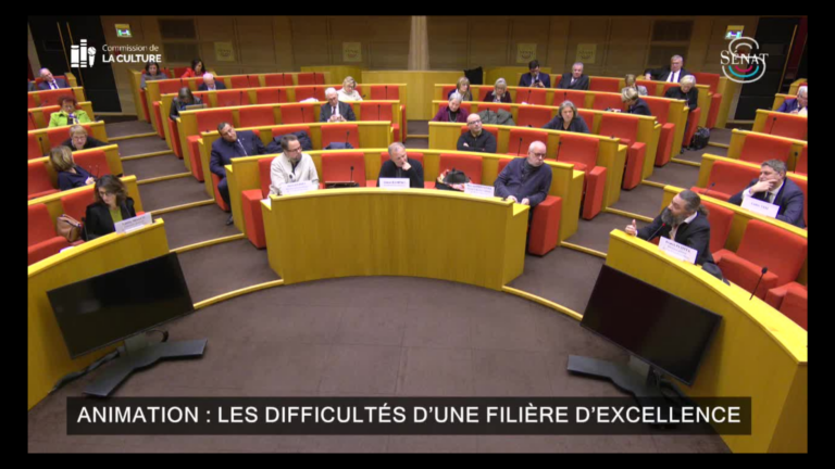 French Senate Commission of Culture hearing on the animation industry crisis featuring representatives from Fortiche Production, Xilam, and animation studios.