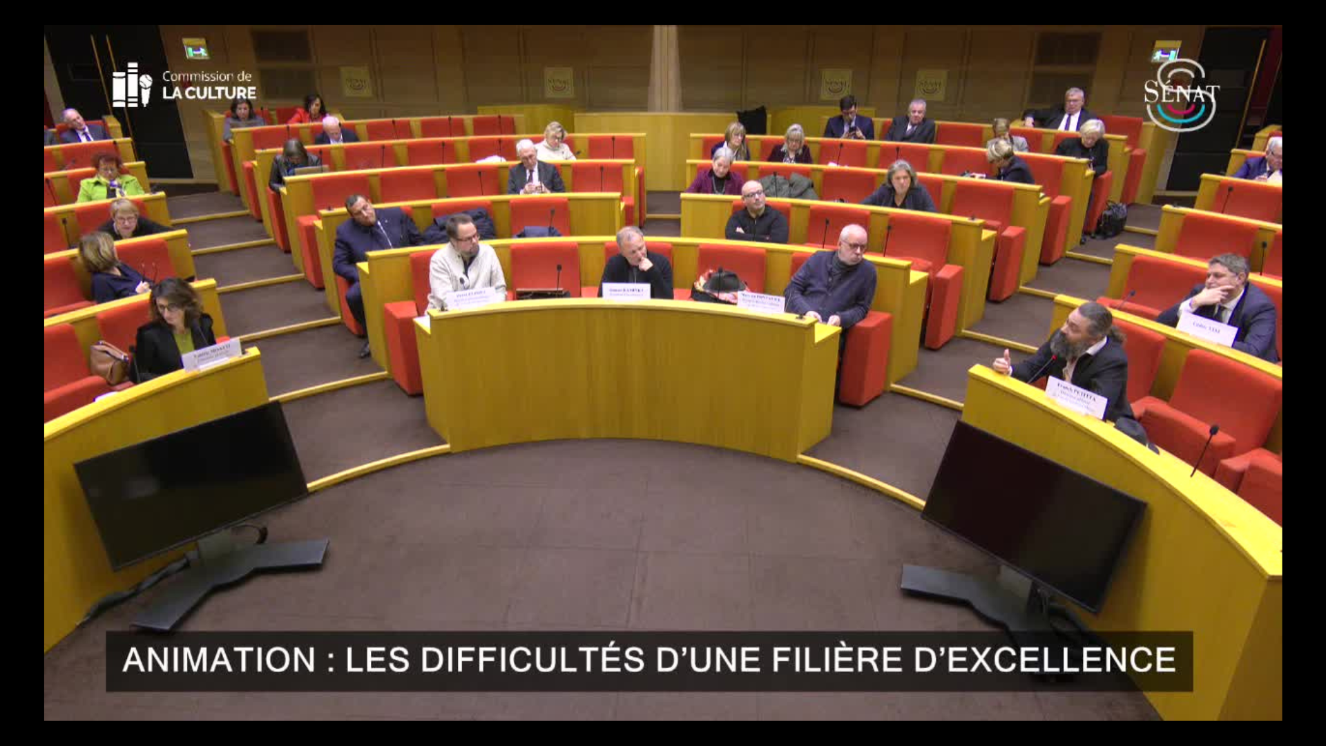 French Senate Commission of Culture hearing on the animation industry crisis featuring representatives from Fortiche Production, Xilam, and animation studios.
