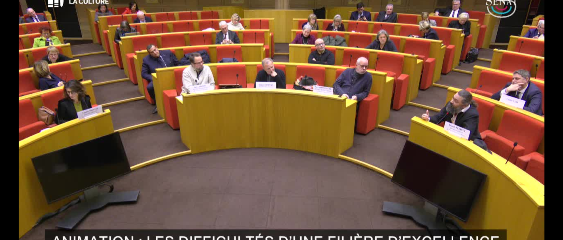 French Senate Commission of Culture hearing on the animation industry crisis featuring representatives from Fortiche Production, Xilam, and animation studios.